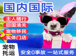 两江航空货运国际宠物托运 【国